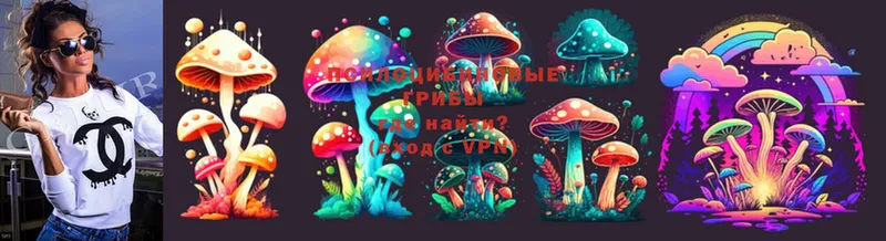 KRAKEN рабочий сайт  Козловка  Псилоцибиновые грибы Psilocybine cubensis 